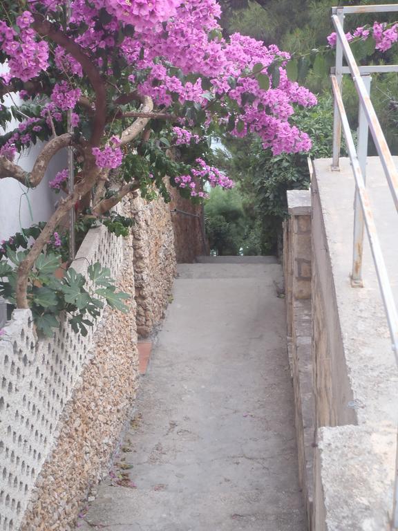 Apartments Villa Stari Koko Omiš Eksteriør billede